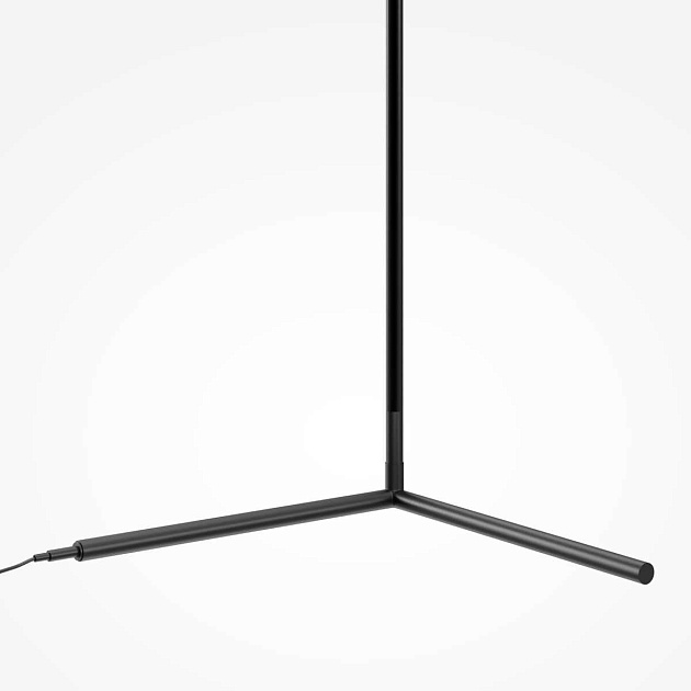 Торшер Maytoni MOD489FL-L20B3K Фото № 5