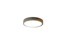 Потолочный светильник Zortes ALBERRO ZRS.01239.90 2