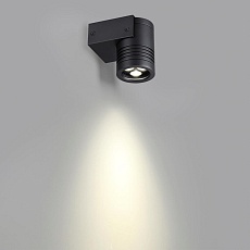 Уличный настенный светодиодный светильник Odeon Light Nature Stima 6648/6WL 5