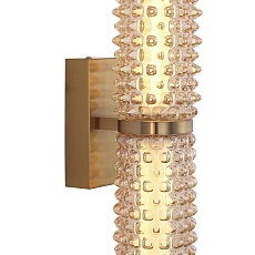 Настенный светильник ST Luce SAGUARO SL6144.301.01 2