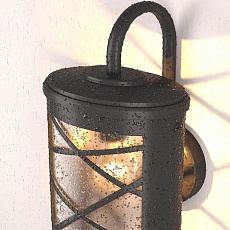 Уличный настенный cветильник Elektrostandard Premier D GL 1017D a039856 2