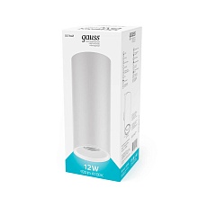 Потолочный светодиодный светильник Gauss Overhead HD013 1