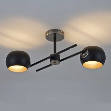 Потолочная люстра Modelux Modemodern MD.5171.2 2