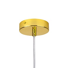 Комплект с подвесной люстрой Lightstar Extra (721132+ 572102) L1P721132 5