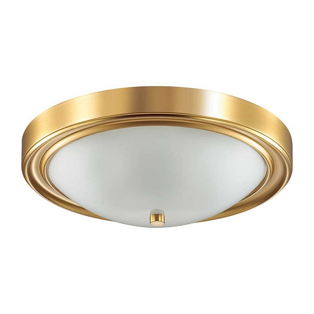 Настенно-потолочный светильник Lumion Vintage Nina 5259/3C Фото № 1