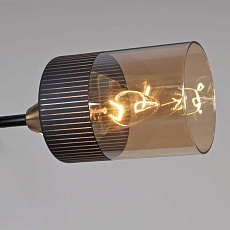 Потолочная люстра Reluce 48460-0.3-06 BK+COPPER 2