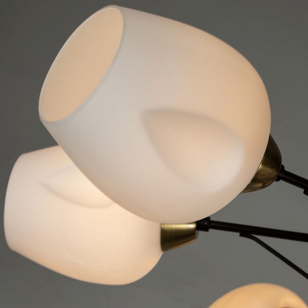 Потолочная люстра Arte Lamp Brighton A2706PL-8CK Фото № 2