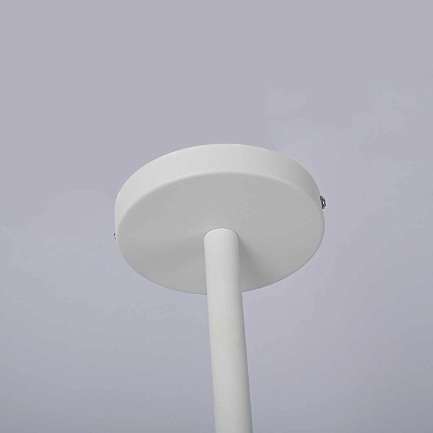 Подвесная люстра Imperium Loft Natura 177988-26 изображение 7 Подвесная люстра Imperium Loft Natura 177988-26 Фото № 7