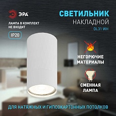 Настенно-потолочный светильник ЭРА OL31 WH Б0056375 5