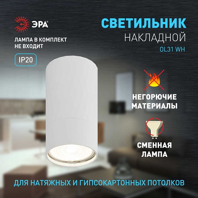 Настенно-потолочный светильник ЭРА OL31 WH Б0056375 изображение 6 Настенно-потолочный светильник ЭРА OL31 WH Б0056375 Фото № 6