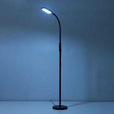 Торшер Citilux Марк CL804021 3