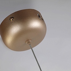 Подвесной светодиодный светильник Favourite Tibia 2217-1P 5