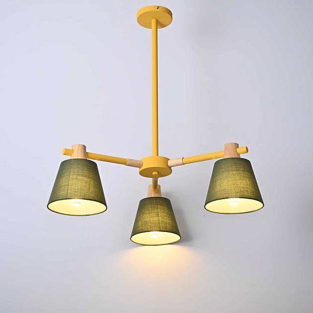 Подвесная люстра Imperium Loft Natura 101825-26 Фото № 9