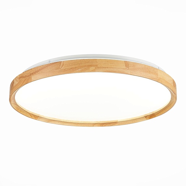 Потолочный сетодиодный светильник Evoluce Delia SLE201382-01 Фото № 3