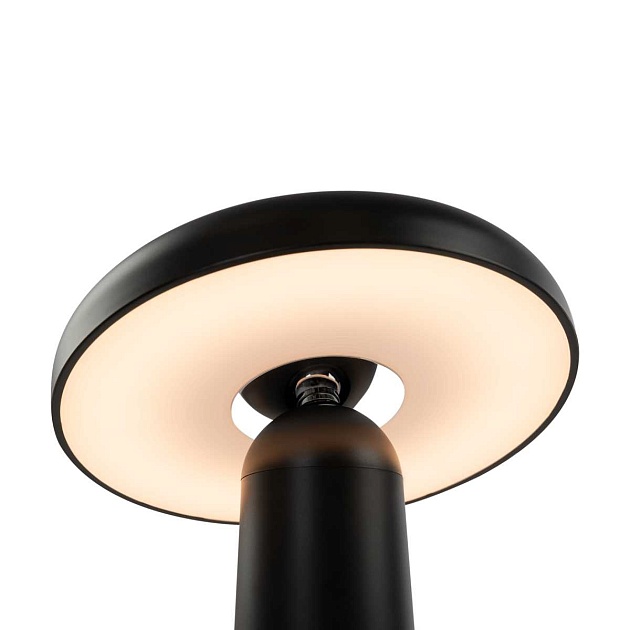 Аккумуляторный светильник Freya FR6109TL-L4B Фото № 7