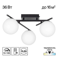 Потолочная светодиодная люстра Citilux Dorsy CL223132