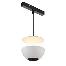 Трековый светодиодный светильник iLedex Technical Vision 4822-012-D80-6W-38DG-4000K-WH 2