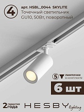 Накладная однофазная трековая система Hesby Lighting Skylite №3 со светильниками HSBL_kompl_S003_NI2W3K 1