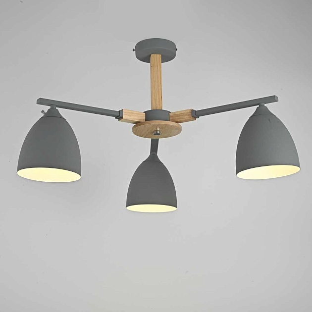 Потолочная люстра Imperium Loft Noa 101838-26 Фото № 11