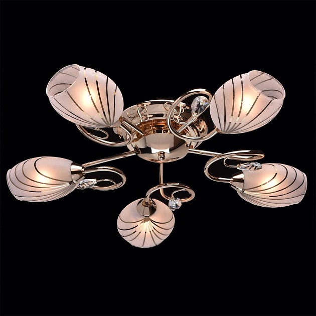 Потолочная люстра MW-Light Фиеста 267012005 Фото № 4