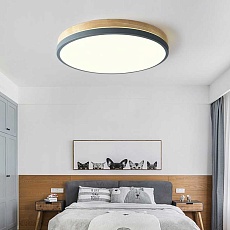 Потолочный светильник Imperium Loft Disc Dh D27 Green 189893-26 3