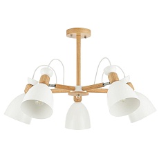 Потолочная люстра Evoluce Balcamo SLE103802-05 3