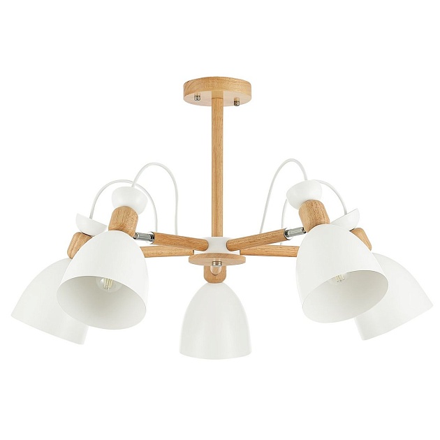 Потолочная люстра Evoluce Balcamo SLE103802-05 изображение 4 Потолочная люстра Evoluce Balcamo SLE103802-05 Фото № 4
