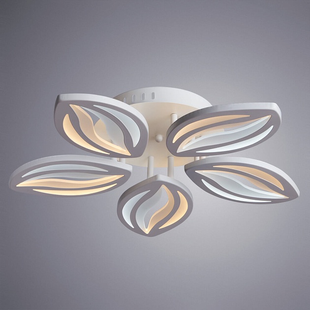 Потолочная светодиодная люстра Arte Lamp Daisy A1098PL-5WH Фото № 5