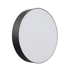 Настенно-потолочный светильник Sonex BASICA 7780/DLN