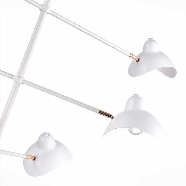 Подвесная люстра ST Luce Minne SL1801.503.06 изображение 3 Подвесная люстра ST Luce Minne SL1801.503.06 Фото № 3