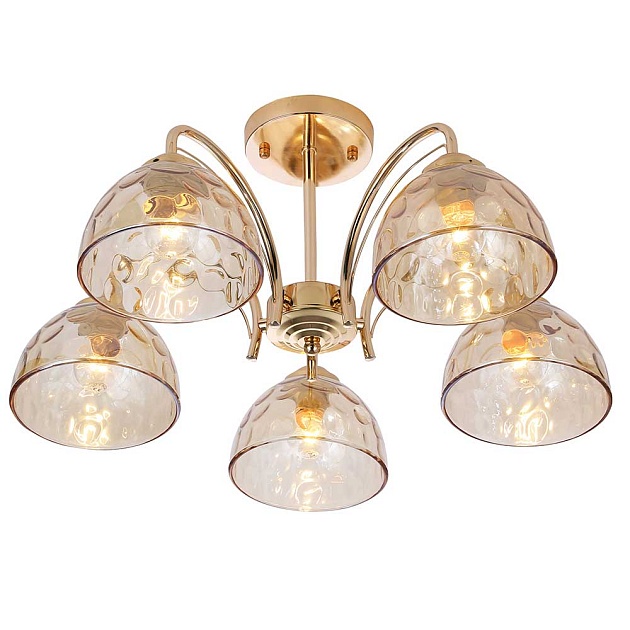 Потолочная люстра Rivoli Terri 9172-305 Б0060989 Фото № 1