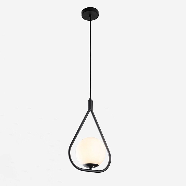 Подвесной светильник Arte Lamp Matisse A7764SP-1BK Фото № 3