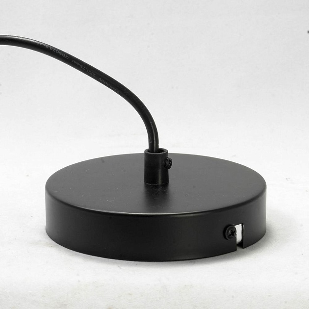 Подвесной светильник Lussole Loft Badger GRLSP-9540 Фото № 5