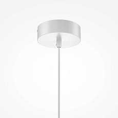 Подвесной светильник Maytoni Modern Bloom MOD531PL-01W1 1
