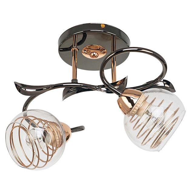 Потолочный светильник ЭкономСвет 70346/2BK+GD CL изображение 1 Потолочный светильник ЭкономСвет 70346/2BK+GD CL Фото № 1