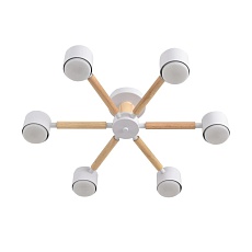 Потолочная люстра Lumion Vudi Comfi 8306/6C 5