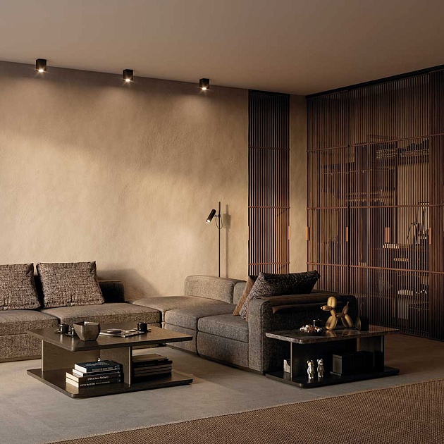 Потолочный светильник Maytoni Alfa C017CL-01B изображение 5 Потолочный светильник Maytoni Alfa C017CL-01B Фото № 5