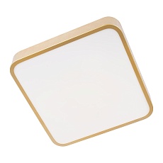 Потолочный светодиодный светильник Loft IT Flims 10228/C 3