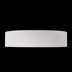 Потолочный светодиодный светильник Loft IT Coin 10202 White 4