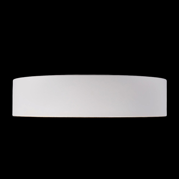 Потолочный светодиодный светильник Loft IT Coin 10202 White фото 5