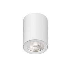 Потолочный светильник Denkirs Farum / Фарум DK3007-WH 1
