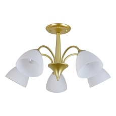 Потолочный светильник Escada ILEX ES0000033 1