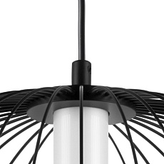 Подвесная люстра Lightstar Sole 734057 3