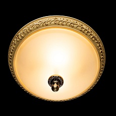 Потолочный светильник Arte Lamp Ivory A9070PL-2AB 4