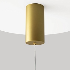 Подвесной светодиодный светильник Maytoni Pro Shade MOD157PL-L6GK 2