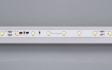 Светодиодная лента Arlight 4,8W/m 60LED/m 3528SMD дневной белый 10M 024989(2) 1