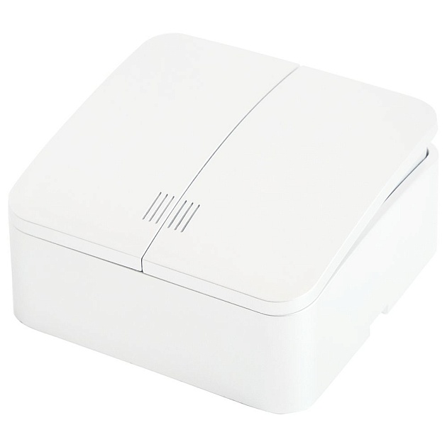 Выключатель двухклавишный Stekker белый MSW10-21-01 49290 изображение 1 Выключатель двухклавишный Stekker белый MSW10-21-01 49290 Фото № 1