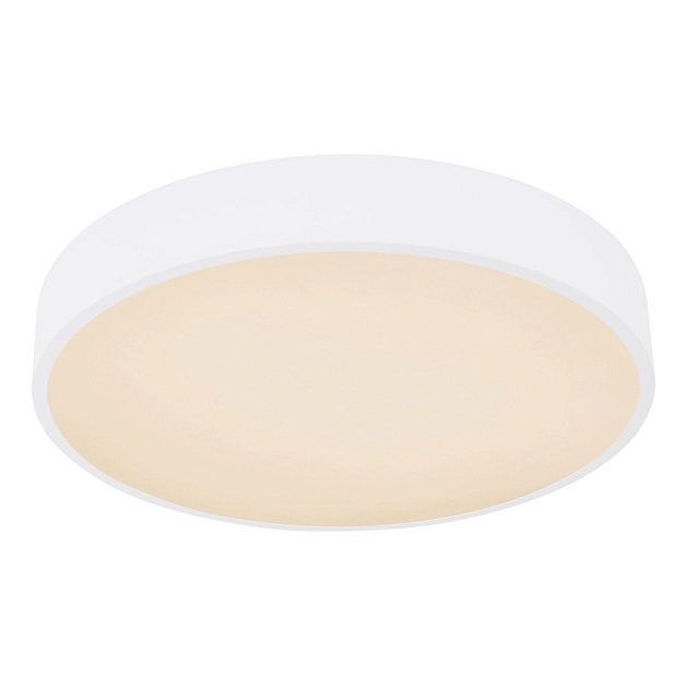 Потолочный светодиодный светильник Globo Leanara 41756-24W Фото № 1