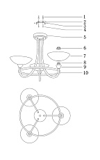 Подвесная люстра Moderli Lione V1200-3C 1