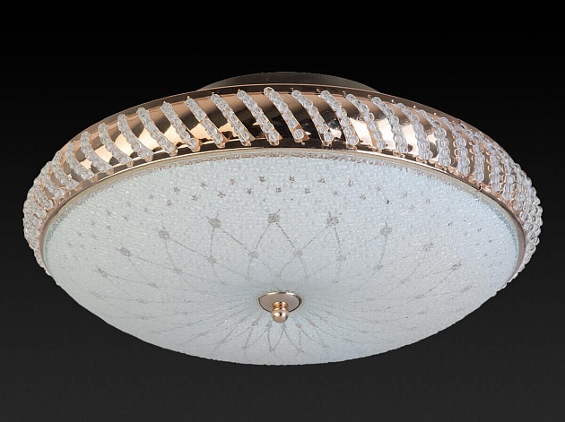 Накладной светильник Toplight Loreen TL1491Y-04GC Фото № 2